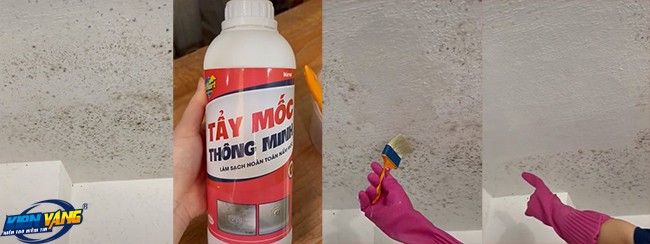 2 cách tẩy vết mốc tường trong một nốt nhạc