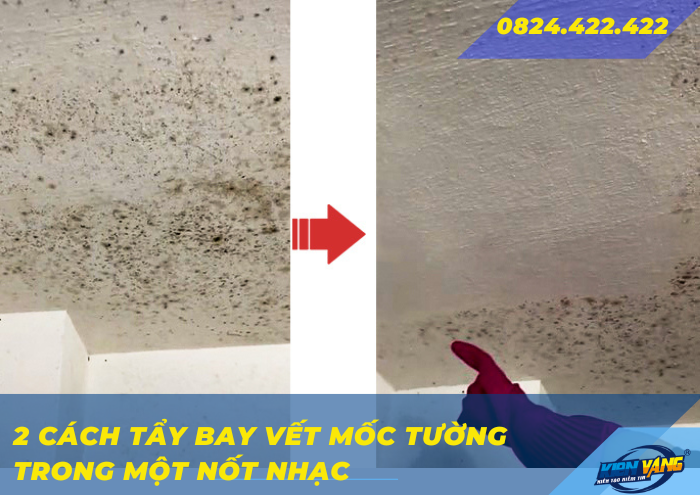 2 cách tẩy vết mốc tường trong một nốt nhạc