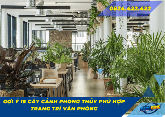 Gợi ý 15 cây cảnh phong thủy phù hợp trang trí văn phòng