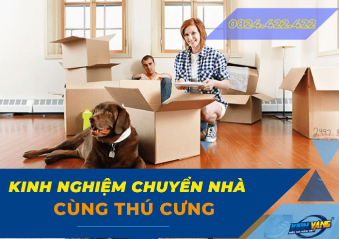 Kinh nghiệm chuyển nhà khi có thú cưng